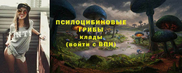 прущие крисы Белоозёрский