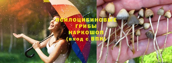герыч Беломорск