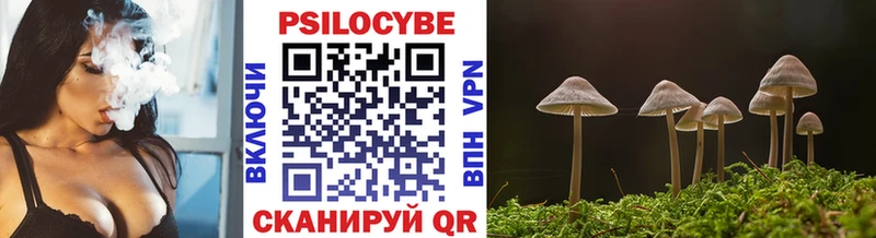Галлюциногенные грибы мухоморы  маркетплейс клад  Красный Холм  hydra ссылка 